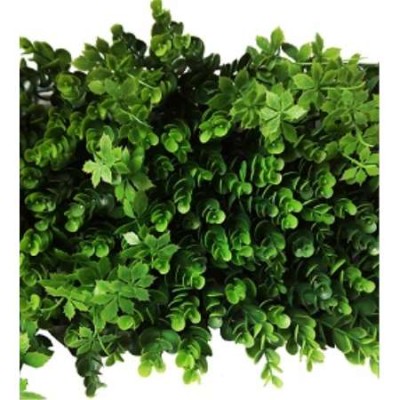JARDIN VERTICAL OCULTACION...